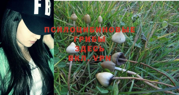 таблы Абинск