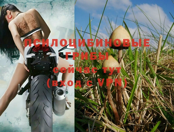 кокс Алзамай